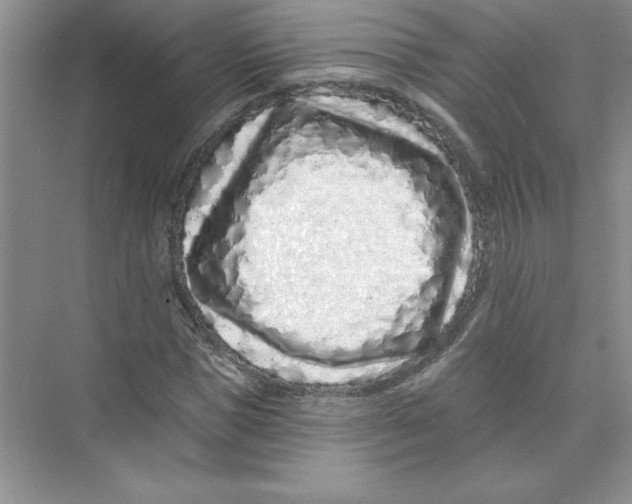 X0000074280921200609222239
