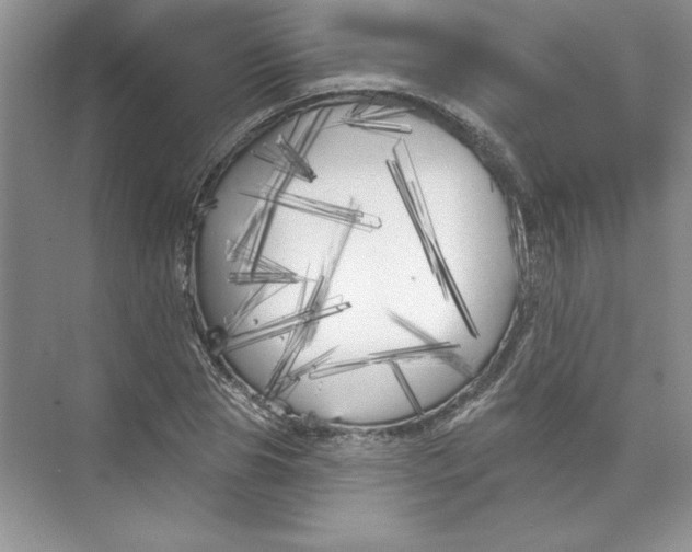 X0000074280929200609222239