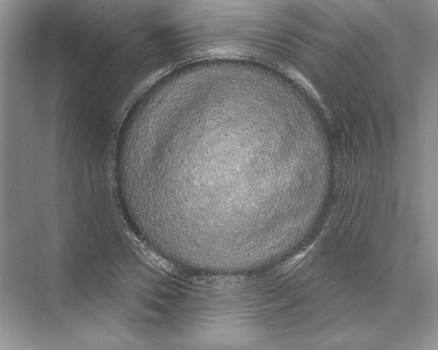 X0000074280930200609222239