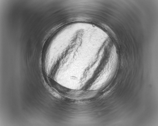 X0000074280938200609222239