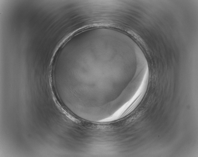 X0000074280941200609222240