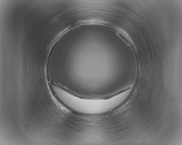 X0000074280946200609222240