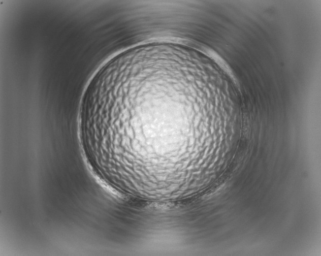 X0000074280955200609222240