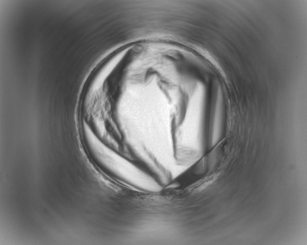X0000074280959200609222240