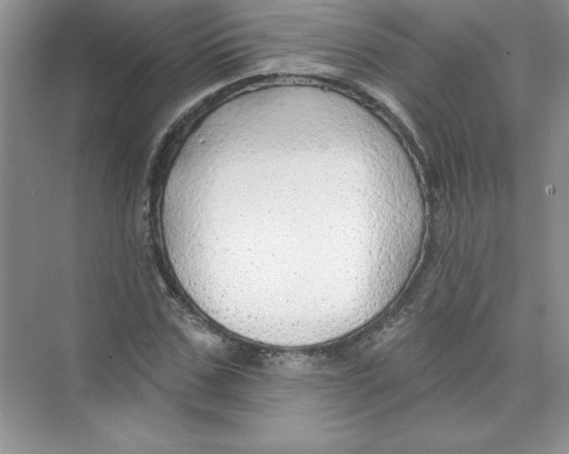 X0000074280971200609222239
