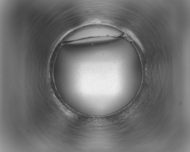 X0000074280972200609222239