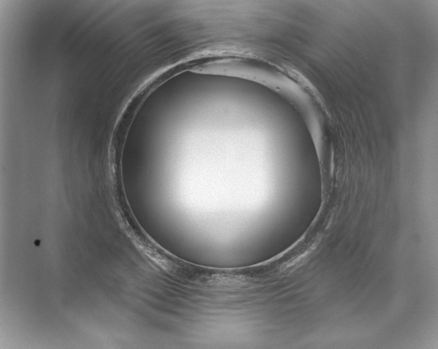 X0000074280981200609222239