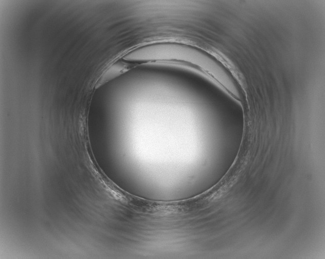 X0000074280993200609222238