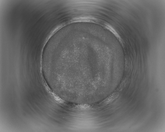 X0000074280994200609222238