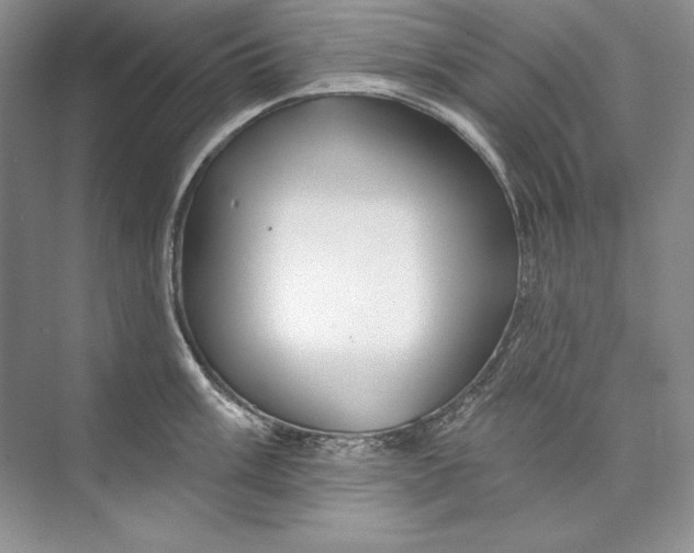 X0000074281003200609222238