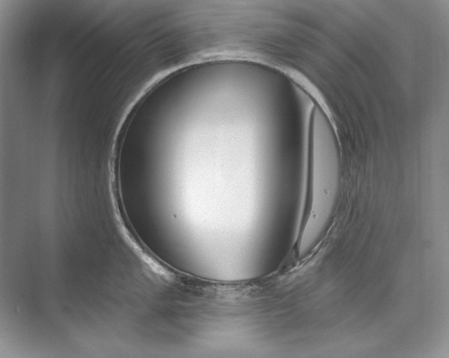 X0000074281005200609222238