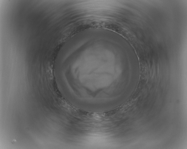 X0000074281013200609222237