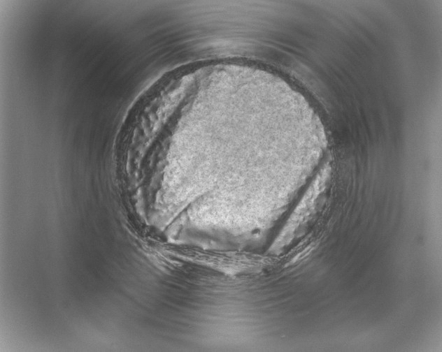 X0000074281023200609222238