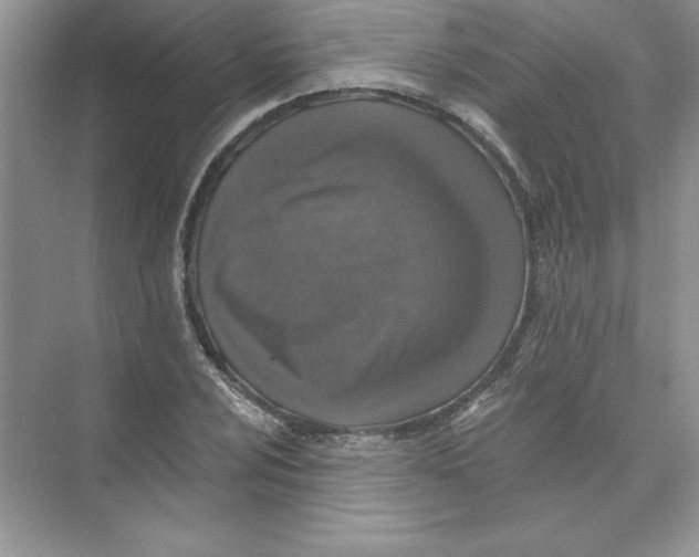 X0000074281024200609222238
