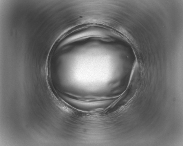X0000074281028200609222238