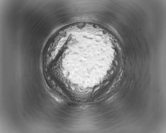X0000074281035200609222238