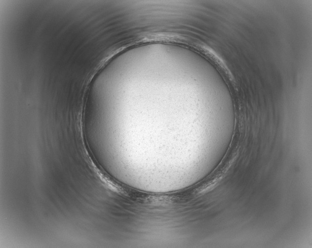X0000074281041200609222238