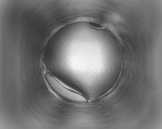 X0000074281049200609222238