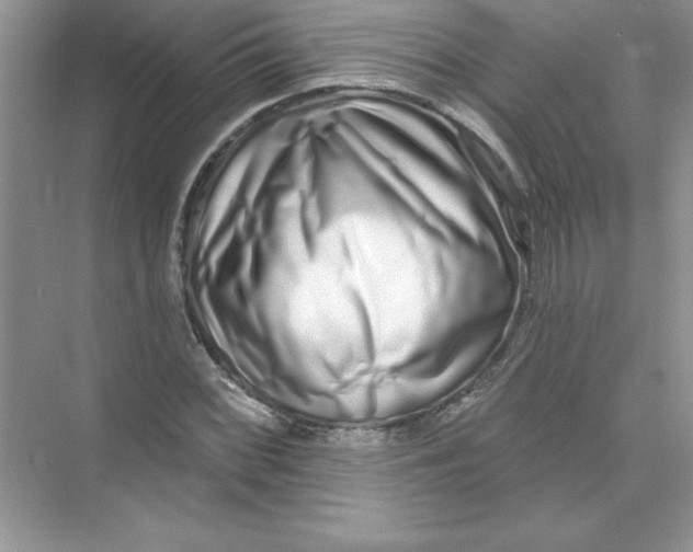 X0000074281068200609222237