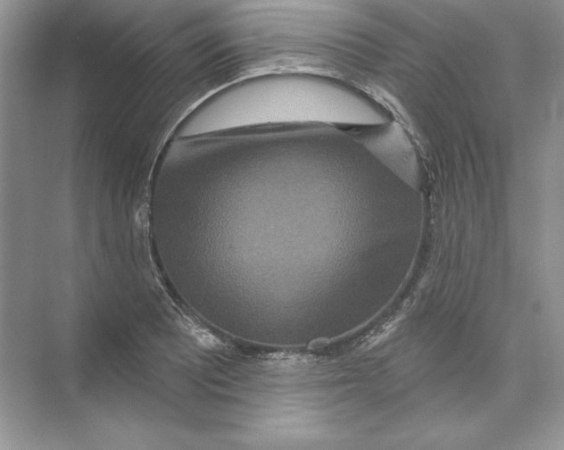 X0000074281081200609222237
