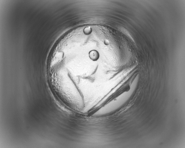 X0000074281087200609222237