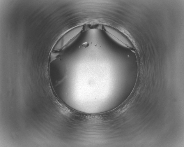 X0000074281089200609222237