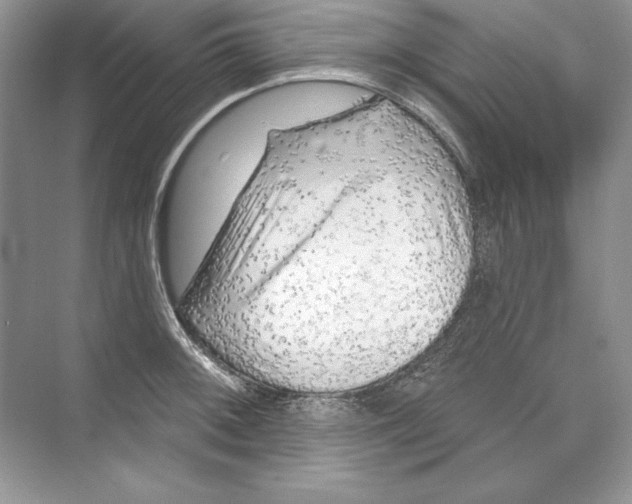 X0000074281092200609222237