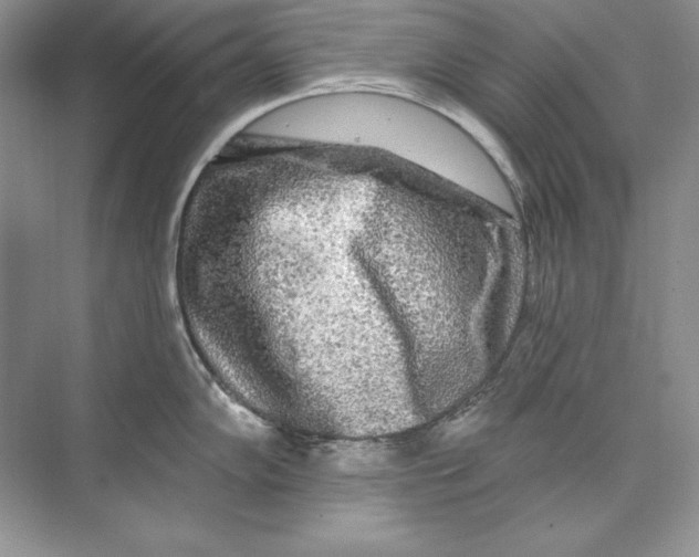 X0000074281102200609222237