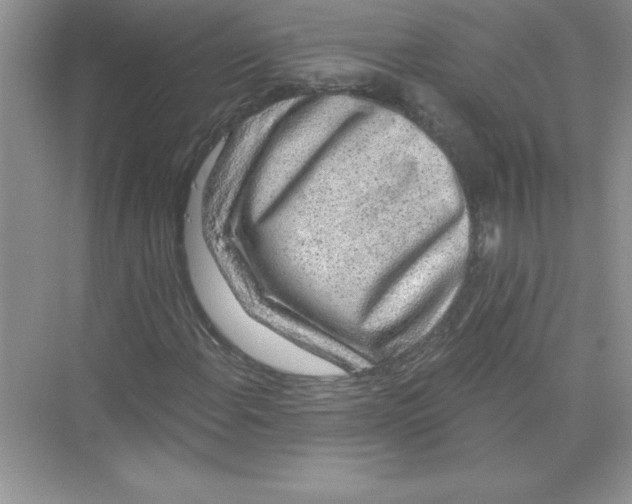 X0000074281108200609222236
