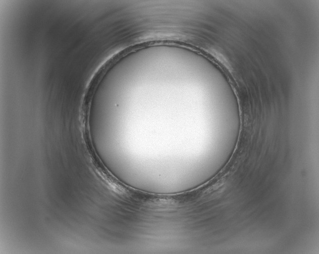 X0000074281119200609222236