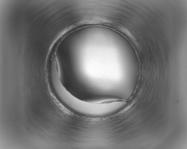 X0000074281122200609222236
