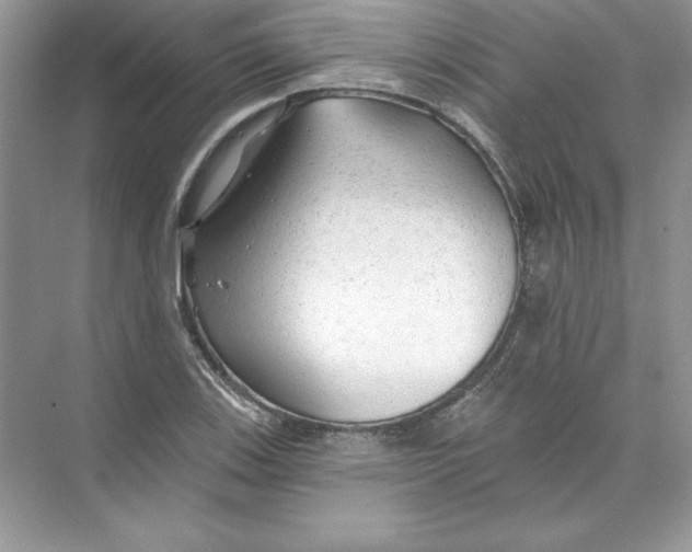 X0000074281123200609222236