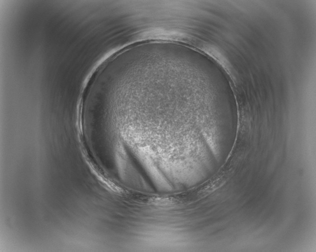 X0000074281128200609222236