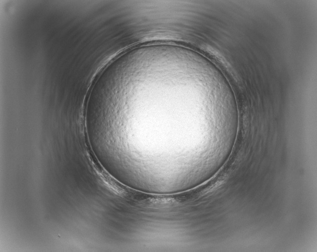 X0000074281129200609222236