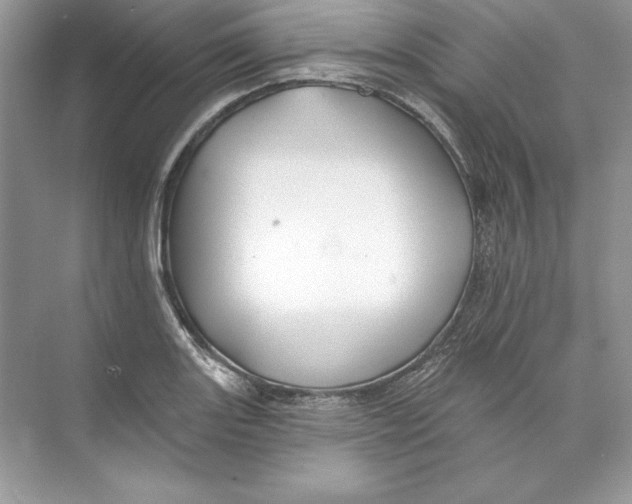 X0000074281131200609222236