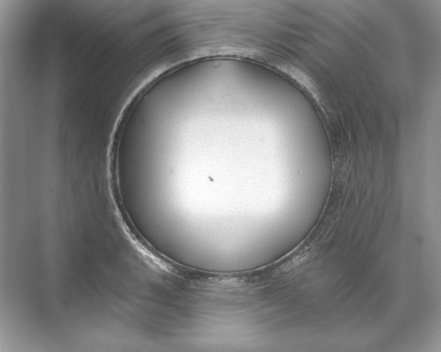 X0000074281135200609222236