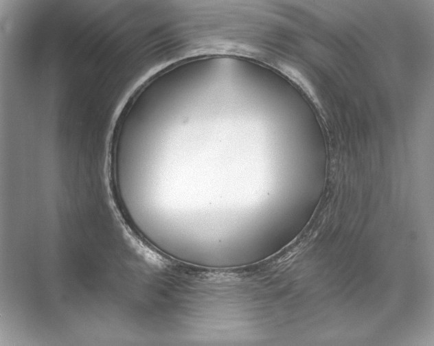 X0000074281136200609222236