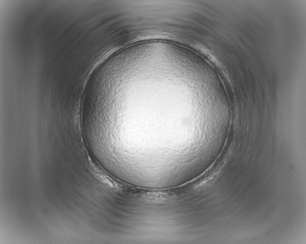 X0000074281137200609222236