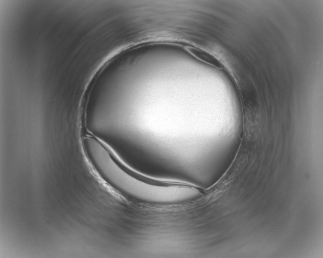 X0000074281142200609222236