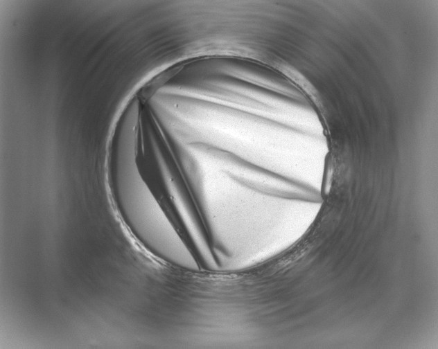 X0000074281144200609222236