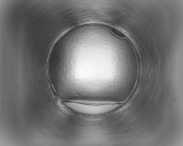 X0000074281145200609222236
