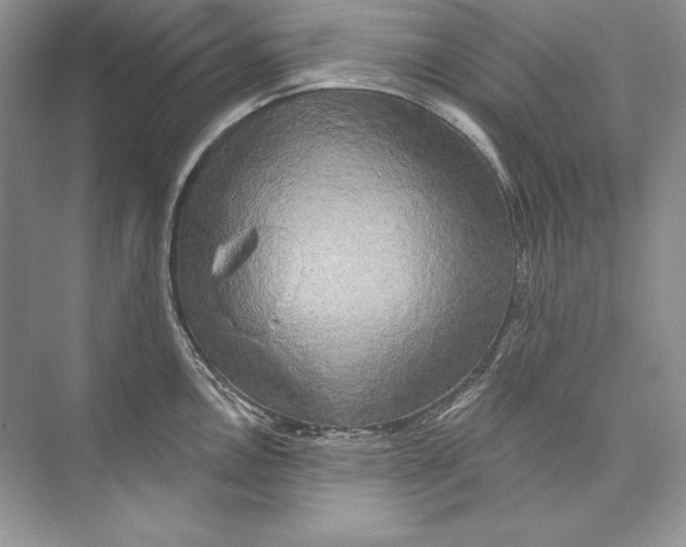 X0000074281146200609222237