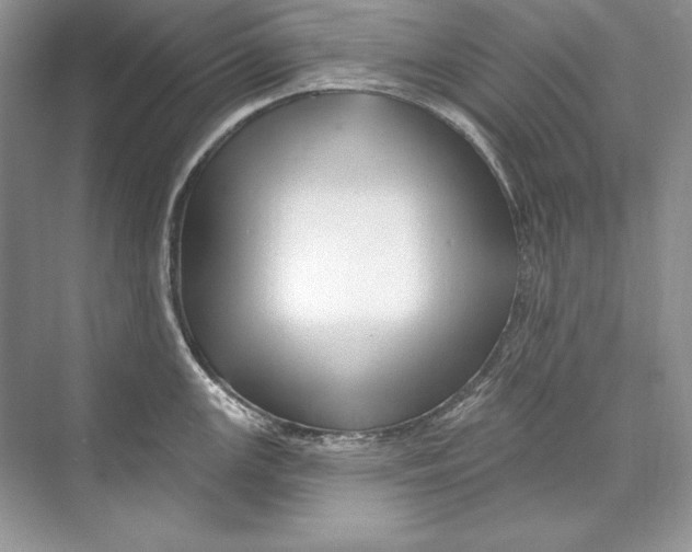 X0000074281147200609222237