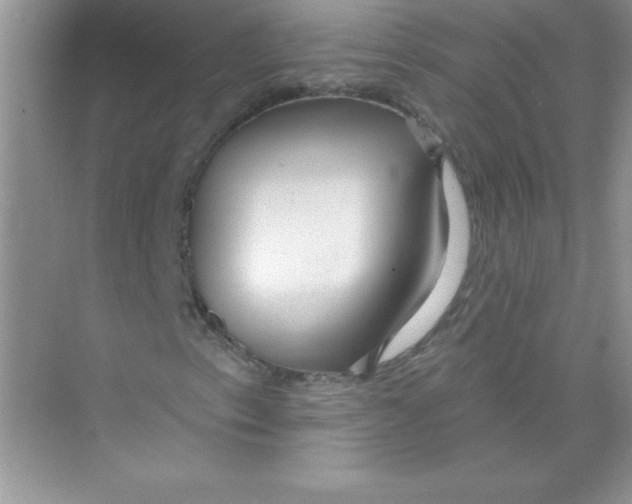 X0000074281153200609222236