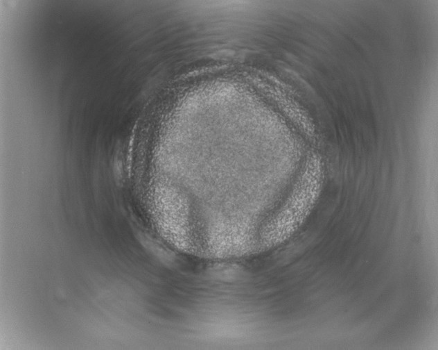 X0000074281154200609222236