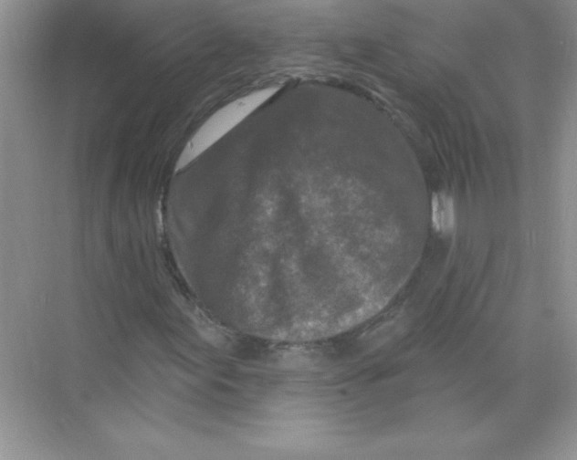X0000074281155200609222236