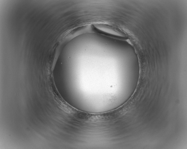 X0000074281169200609222236