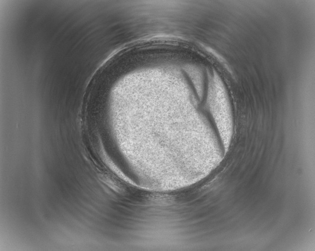 X0000074281170200609222236