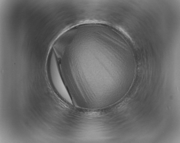 X0000074281173200609222235