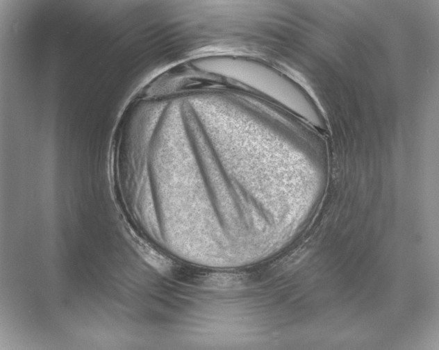 X0000074281179200609222235